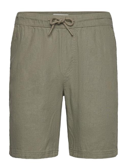 Solid | Sdaurelius Elas | L