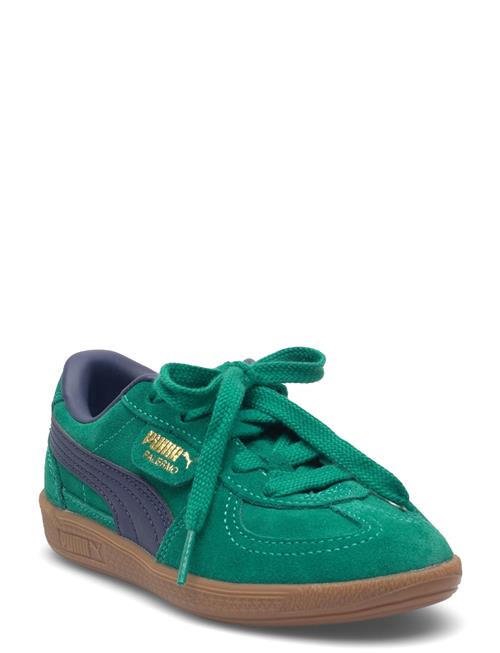 PUMA | Palermo Ps | 30