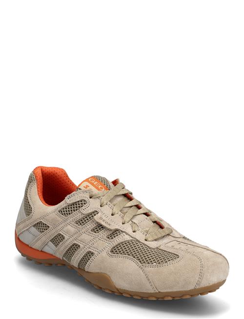 GEOX | U Snake Original A | 43