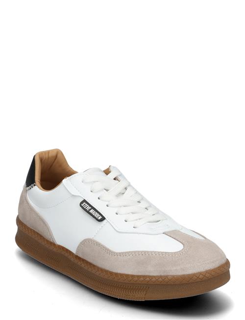 Steve Madden | Euphoria-M Sneaker | 40