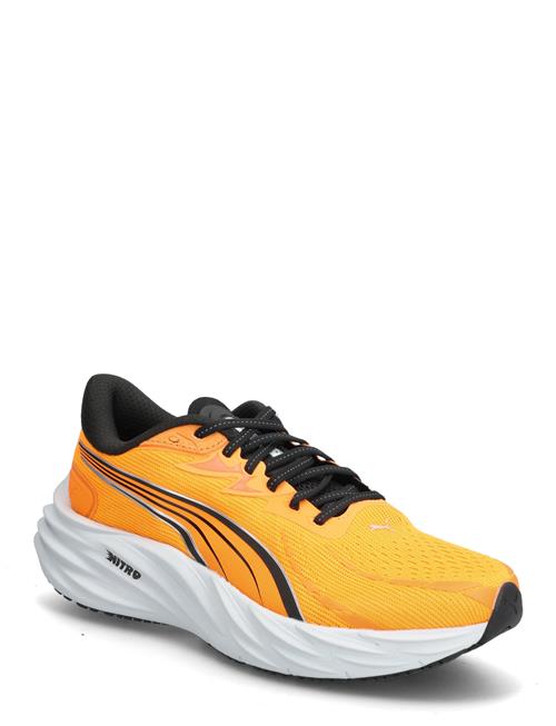 PUMA | Velocity Nitro 4 | 43