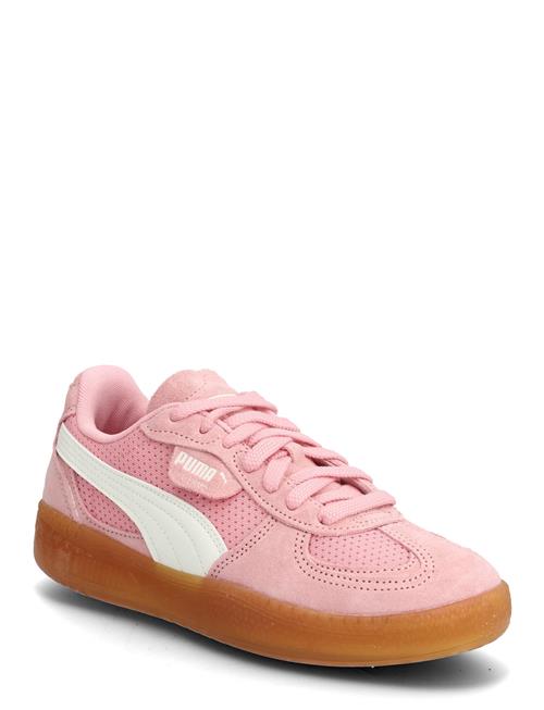 PUMA | Palermo Moda Vintage Wns | 38