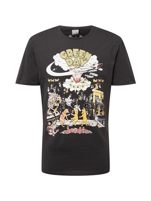AMPLIFIED Bluser & t-shirts 'GREENDAY - DOOKIE'  gul / gylden gul / antracit / hvid