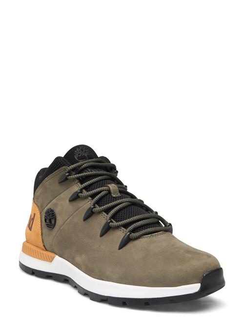 Timberland | Mid Lace Up Sneaker | 45