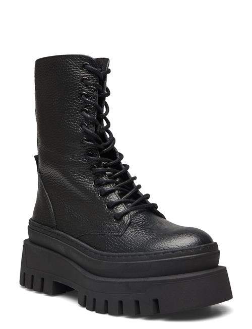 Steve Madden | Coast Bootie | 37