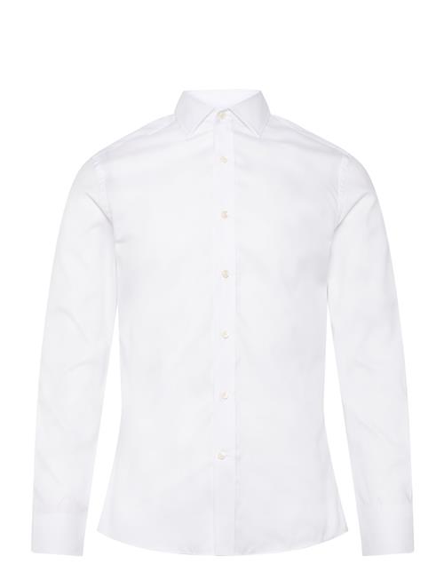 Tiger of Sweden | Adley C | 41 x 41