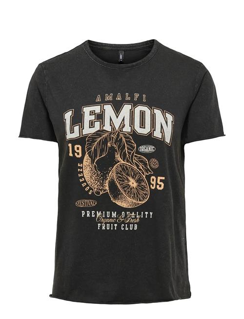 ONLY | Onllucy Reg S/S Top Jrs Noos | S