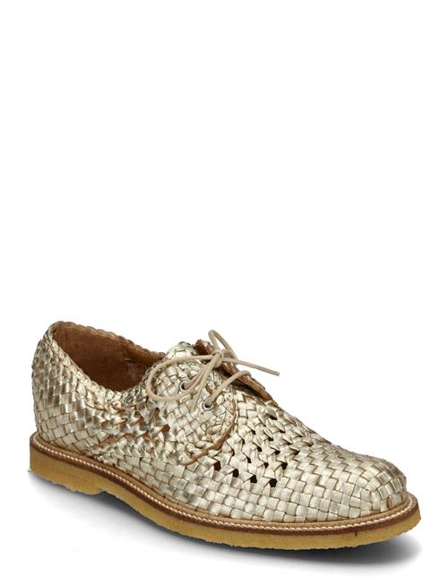 ANGULUS | Shoes - Flat - With Lace | 38-25.6CM