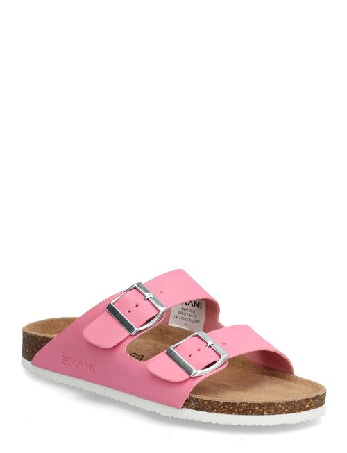 Exani | Spectra W | 38