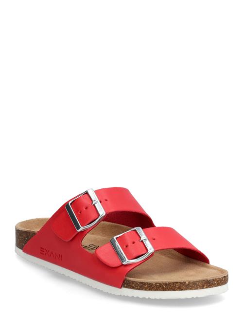 Exani | Spectra W | 41