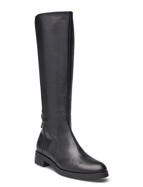 Wonders | Corina | 35