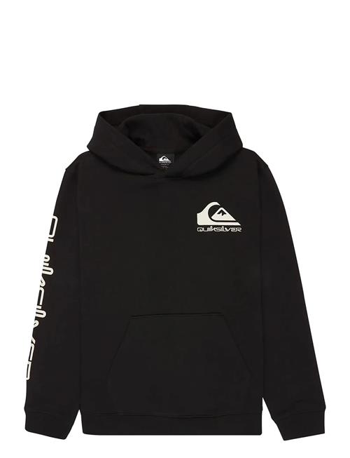 Quiksilver | Omni Logo Hoodie Youth | 12