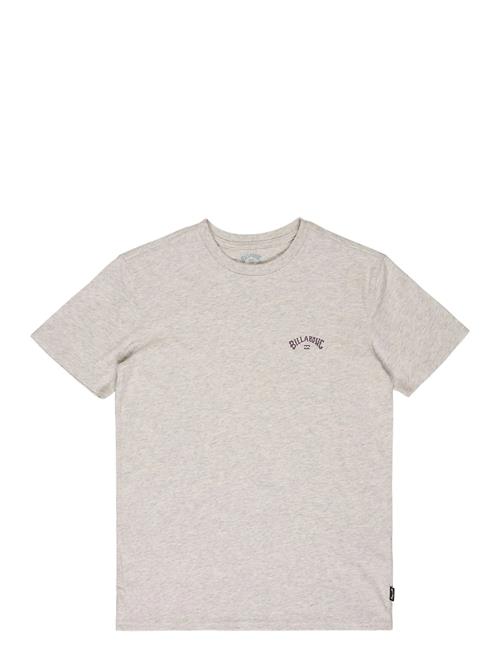 Billabong | Arch Wave Ss | S
