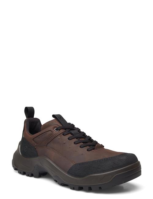 ECCO | Offroad M | 41