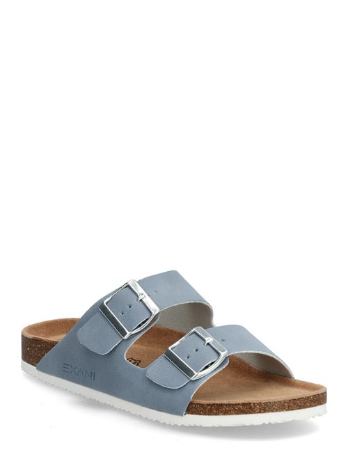 Exani | Spectra W | 36