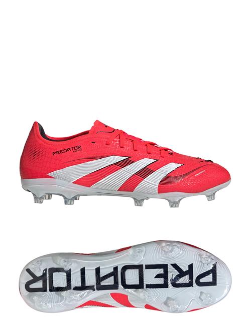 adidas Performance | Predator Pro Fg | 46