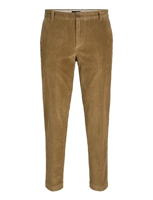 Jack & Jones | Jpstace Jjcorduroy Chino Sn | 33 x 34