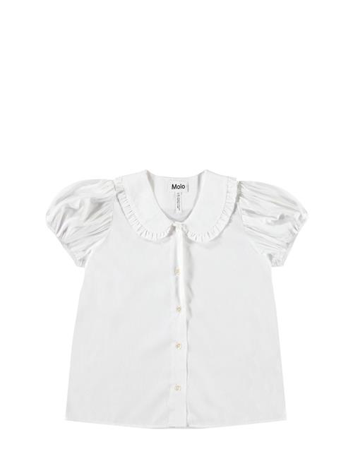 Molo | Rosabella | 110/116