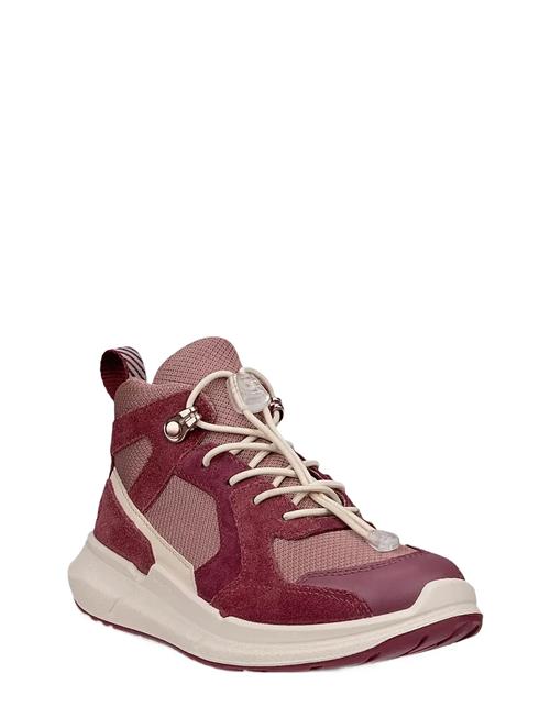 ECCO | Biom 2.2 K | 31