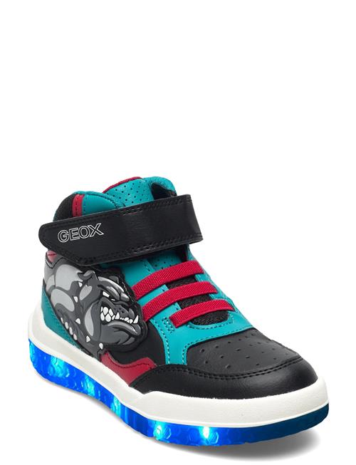 GEOX | J Buzzerlight Boy A | 27