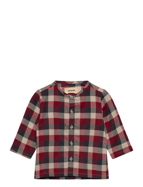 Wheat | Shirt Shelby | 92