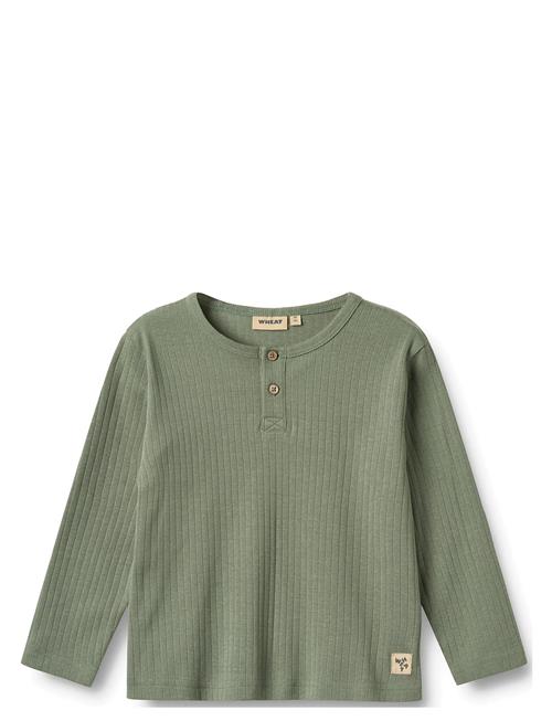 Wheat | T-Shirt L/S Morris | 110