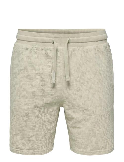 ONLY & SONS | Onskian Life Reg Seersucker Shorts Noos | M