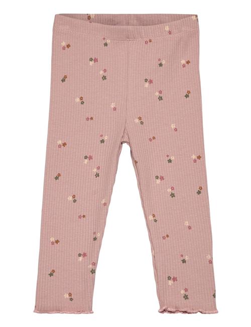 The New | Tnsbodelia Rib Leggings | 68