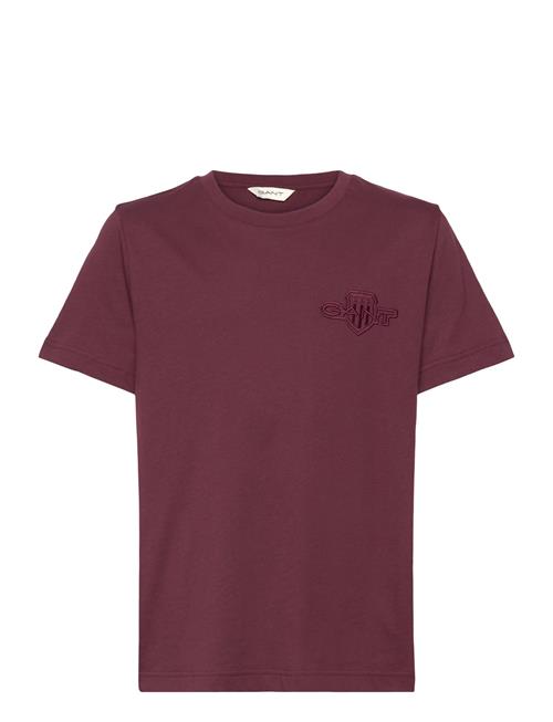 GANT | Reg Tonal Shield Ss T-Shirt | XXL