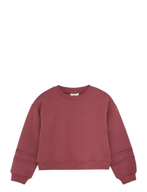 En Fant | Sweatshirt Ls | 92