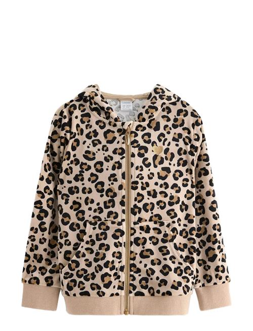 Lindex | Hoodie In Velour | 110/116