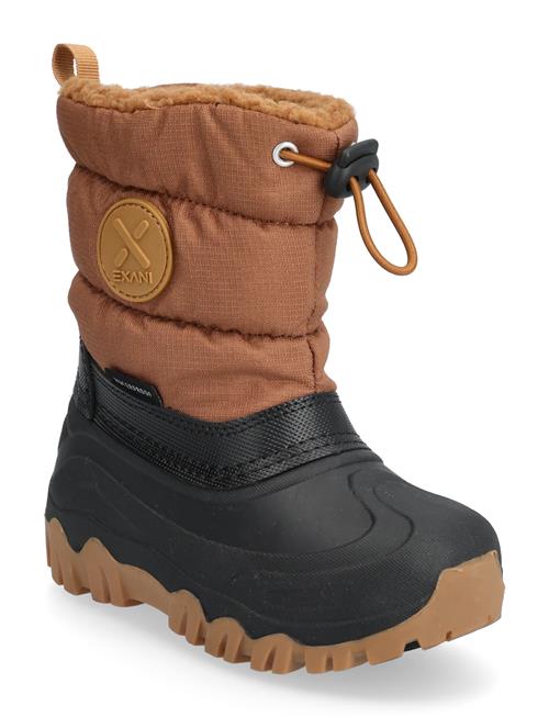 Exani | Aspen K | 26