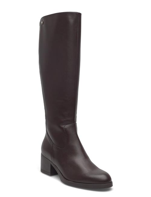 Wonders | Santa Fe 50 | 38