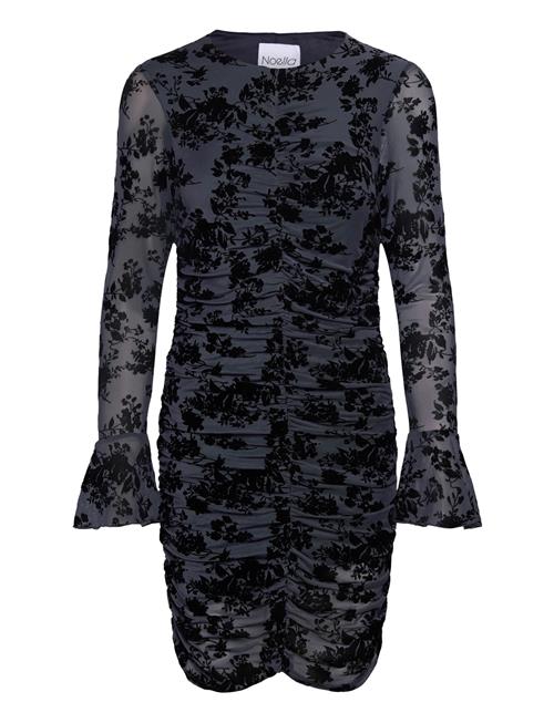 Noella | Lavetta Dress | XL