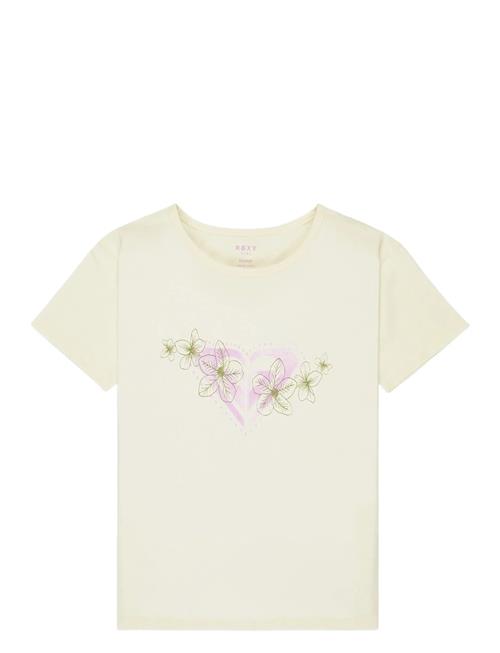 Roxy | Lilyregular Night | 170