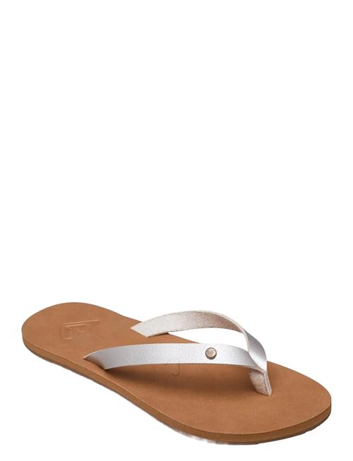 Roxy | Jyll Iii | 41