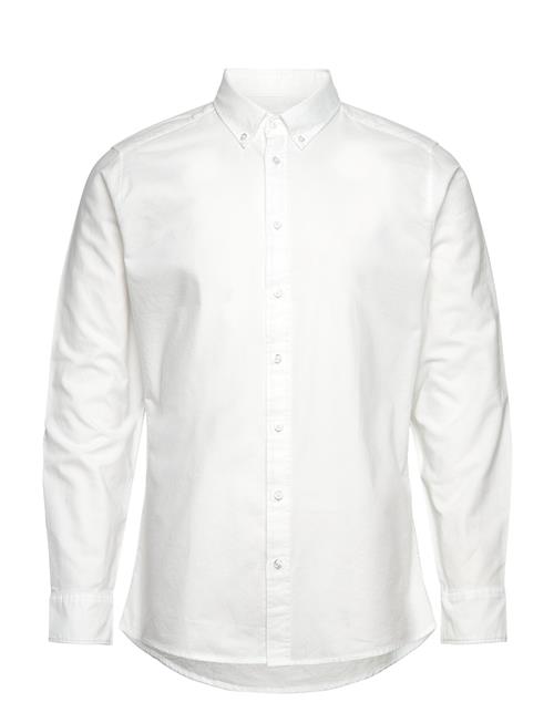 Seven Seas Copenhagen | Seven Seas Oxford | Slim | L