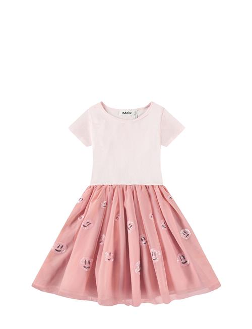 Molo | Cyrusila | 146/152