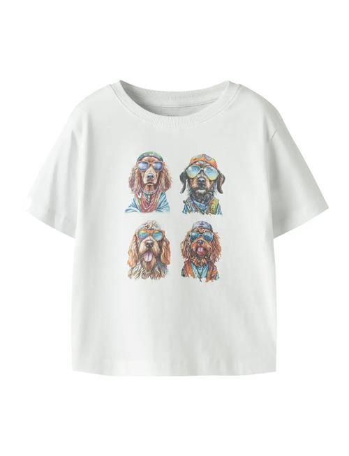 name it | Nmmvoto Ss Nreg Top | 116