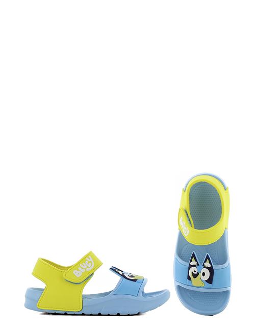 Leomil | Bluey Sandal | 29