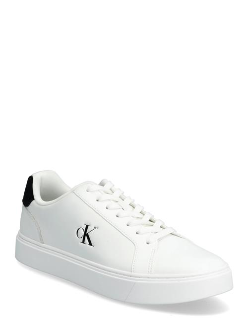 Calvin Klein | Classic Cupsole Laceup Lth | 43