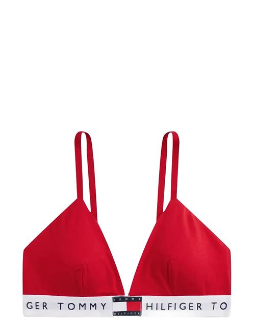 Tommy Hilfiger | Rp Triangle | L