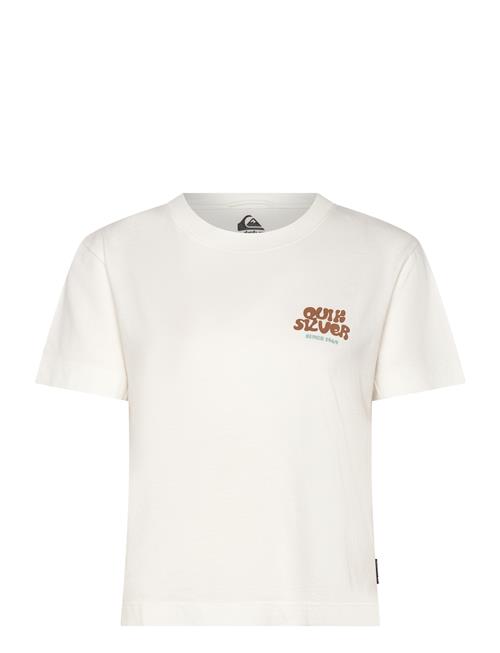 Quiksilver | Standard Ss Tee | XS