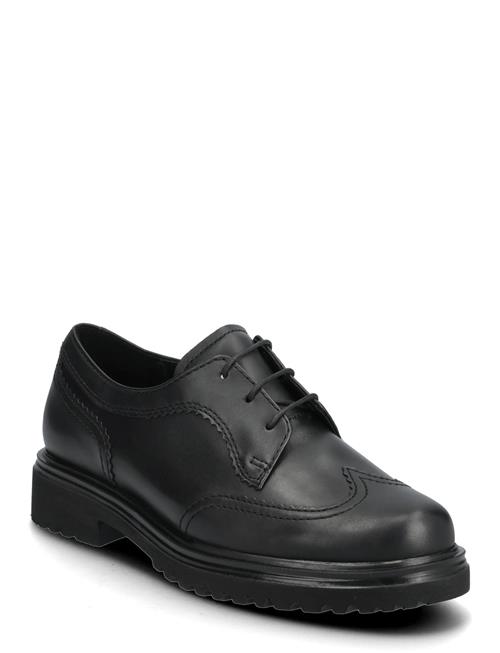 Gabor | Laced Shoe | 41