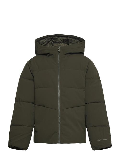Jack & Jones | Jjglobal Puffer Jacket Mni | 122