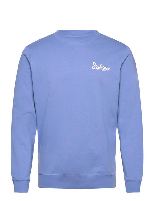 Solid | Sdtorrence | XXL