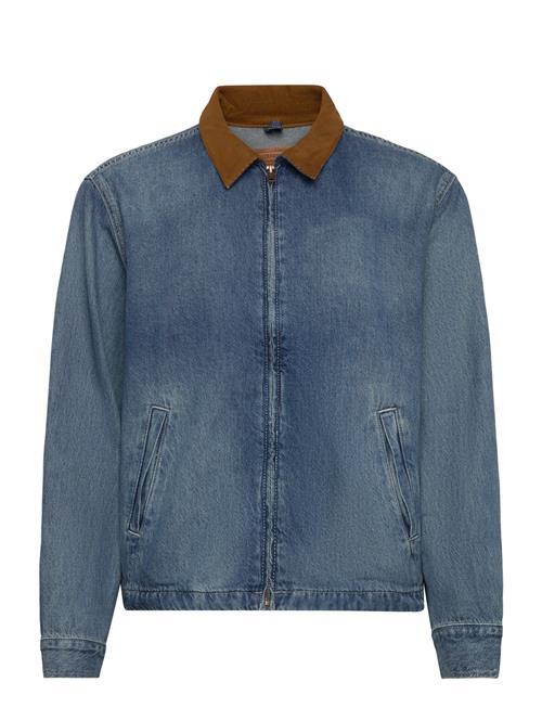 Levi's® | Castro Full Zip Light It Up T | L