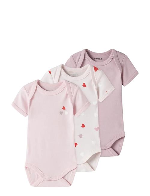 name it | Nbfbody 3P Ss Carinaria Heart Noos | 62