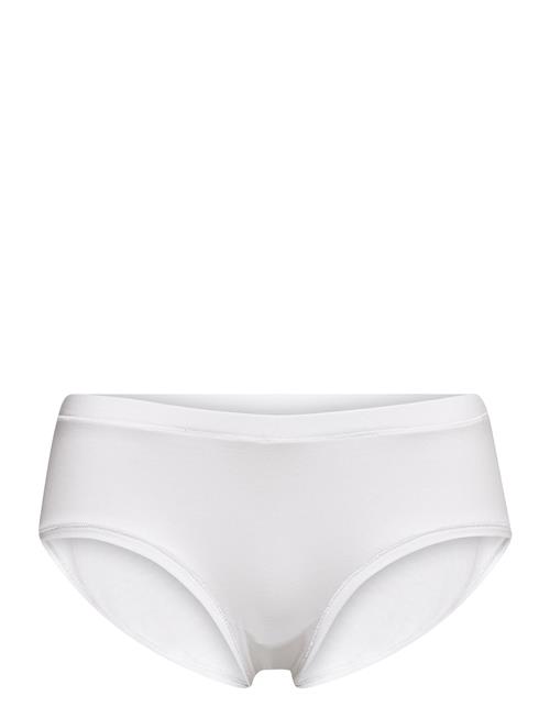 JBS of Denmark | Jbs Of Dk Hipster Cotton | M