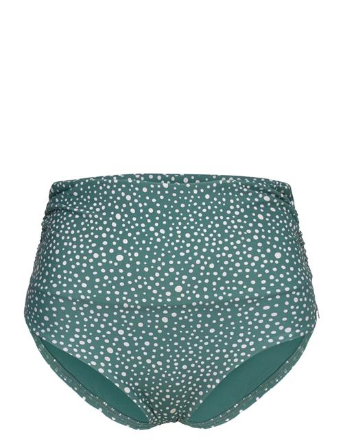 Panos Emporio | Ditsy Dots Chara Bottom | 40